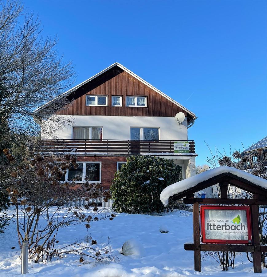 Landhaus Am Itterbach Willingen Willingen  Exterior foto
